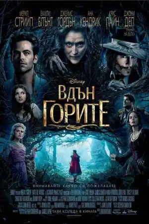 Into the Woods