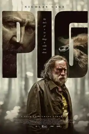 Pig