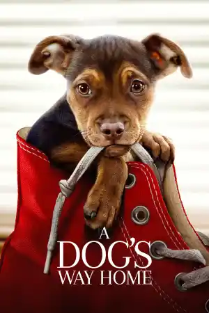 A Dog's Way Home