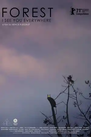 Rengeteg - Mindenhol latlak / Forest: I See You Everywhere