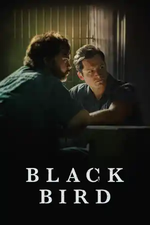 Blackbird