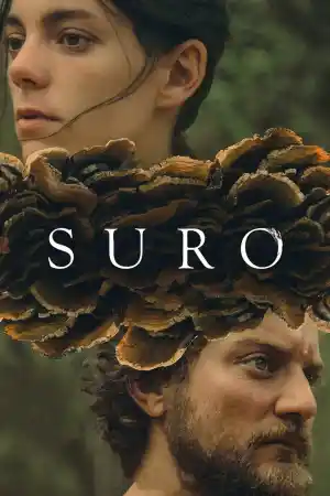 Suro / Cork