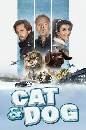 Chien et Chat