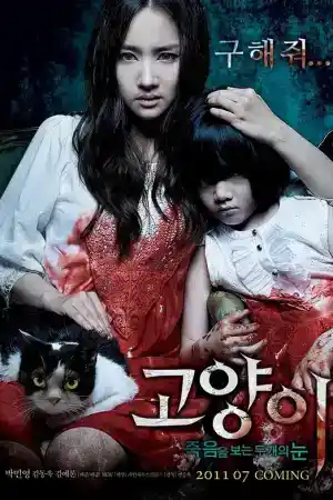 The Cat
